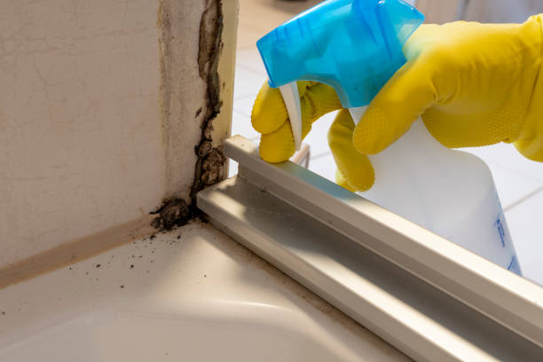 Best Mold Testing  in Portola, CA