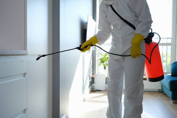 Mold Removal and Inspection in Portola, CA